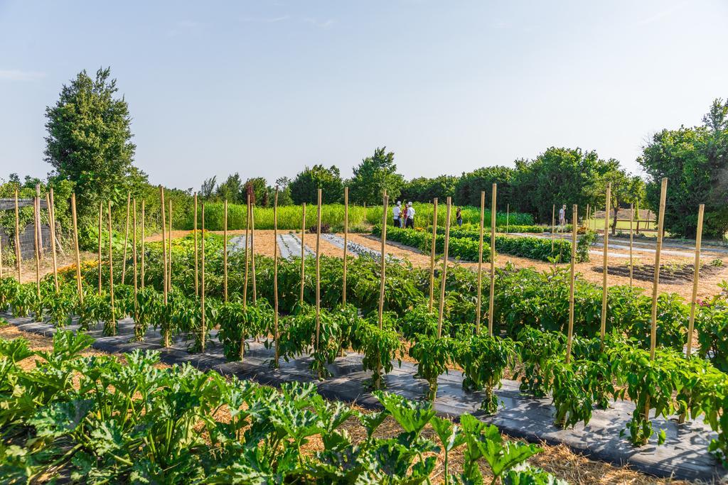 La Posa Degli Agri Bed & Breakfast Legnaro ภายนอก รูปภาพ